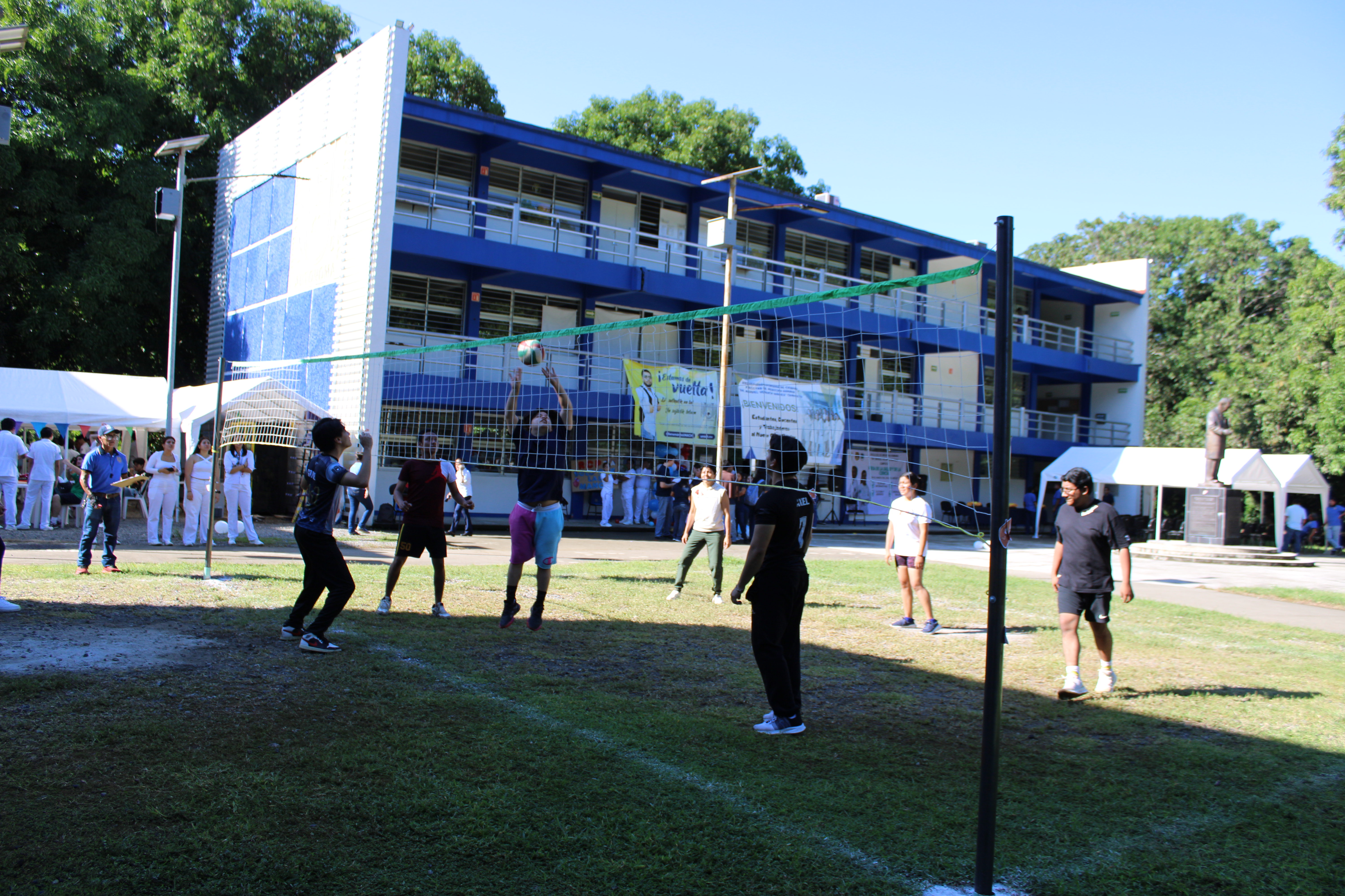 Descripción de la imagen