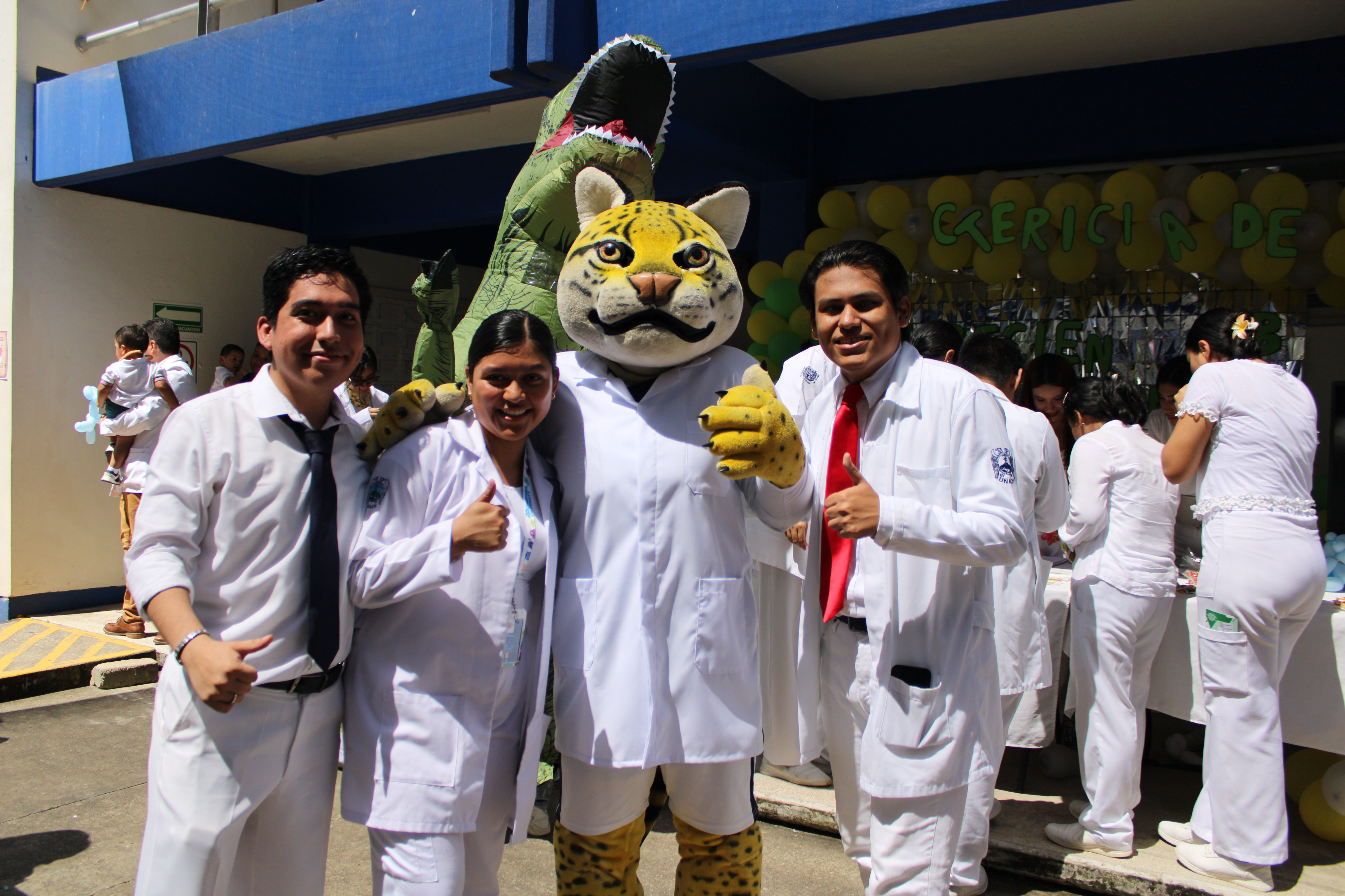 Descripción de la imagen