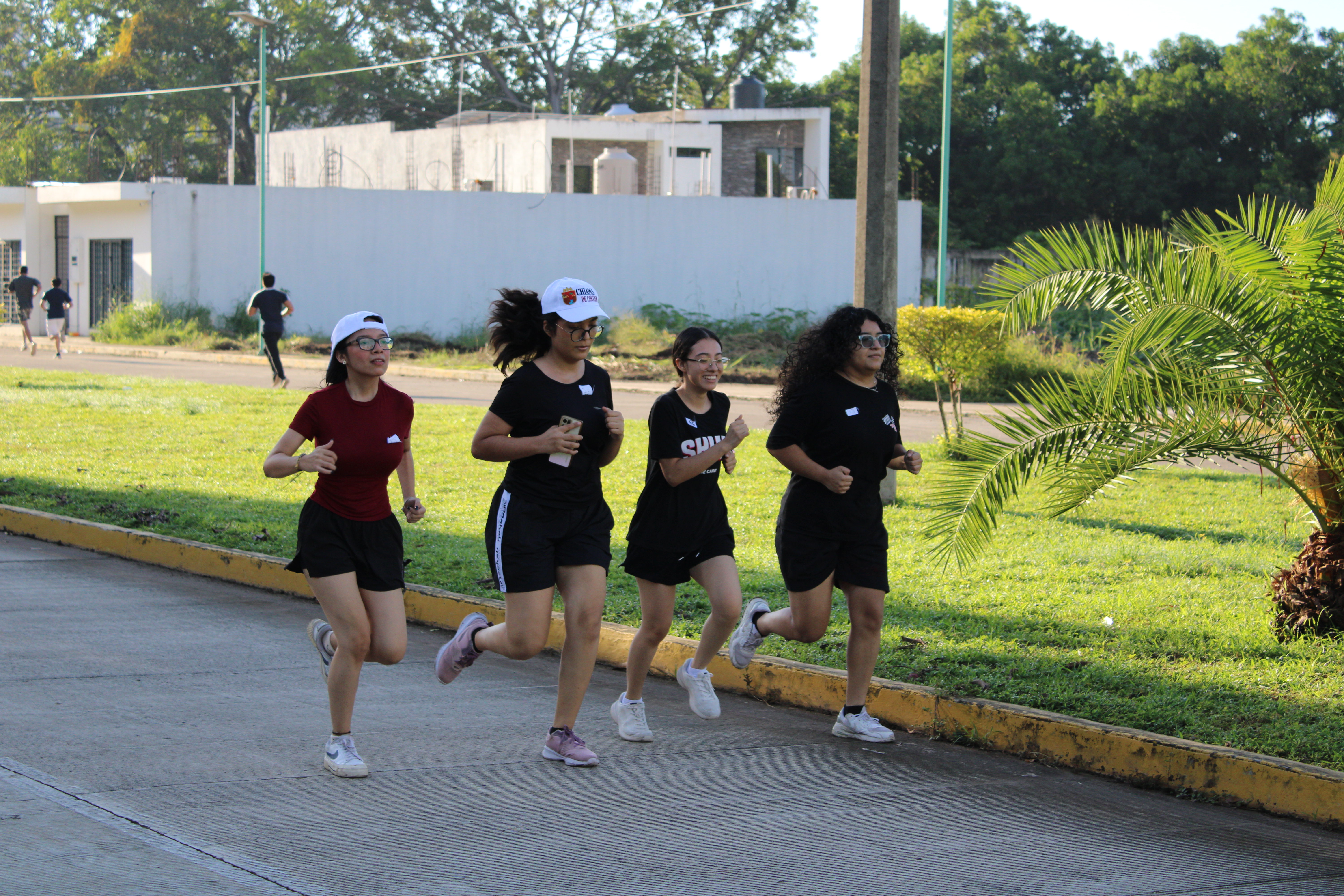 Descripción de la imagen