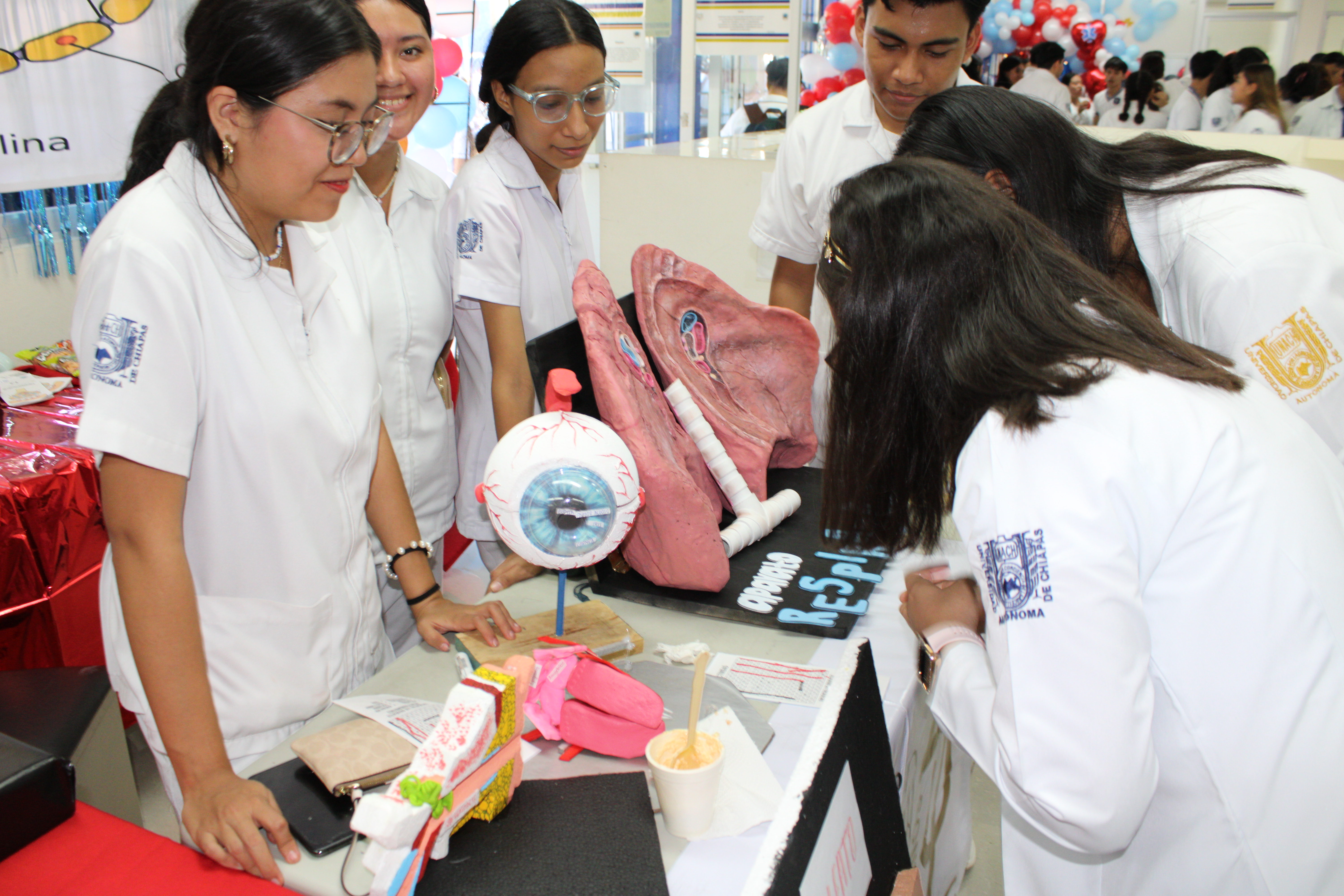 Descripción de la imagen