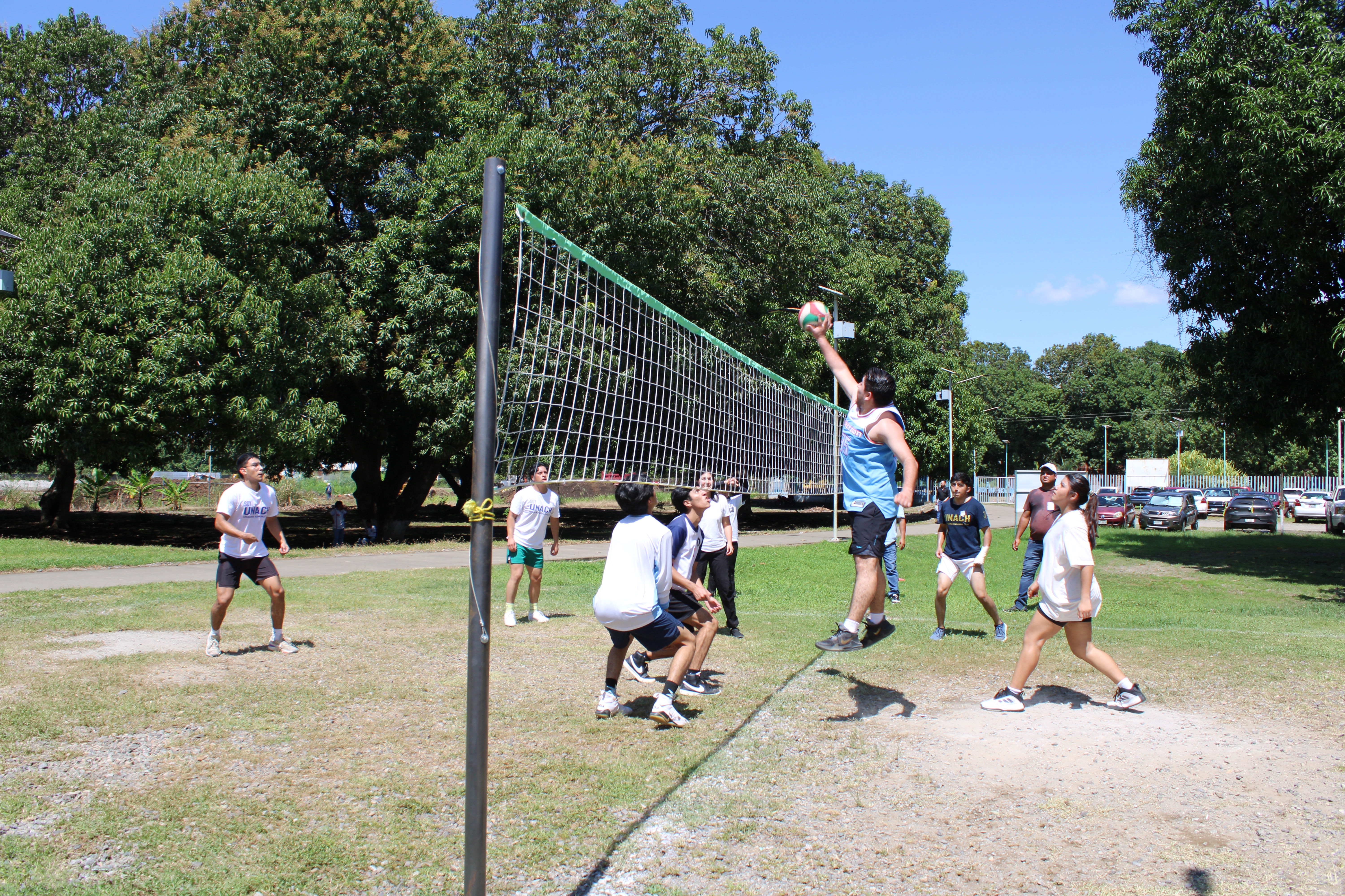 Descripción de la imagen