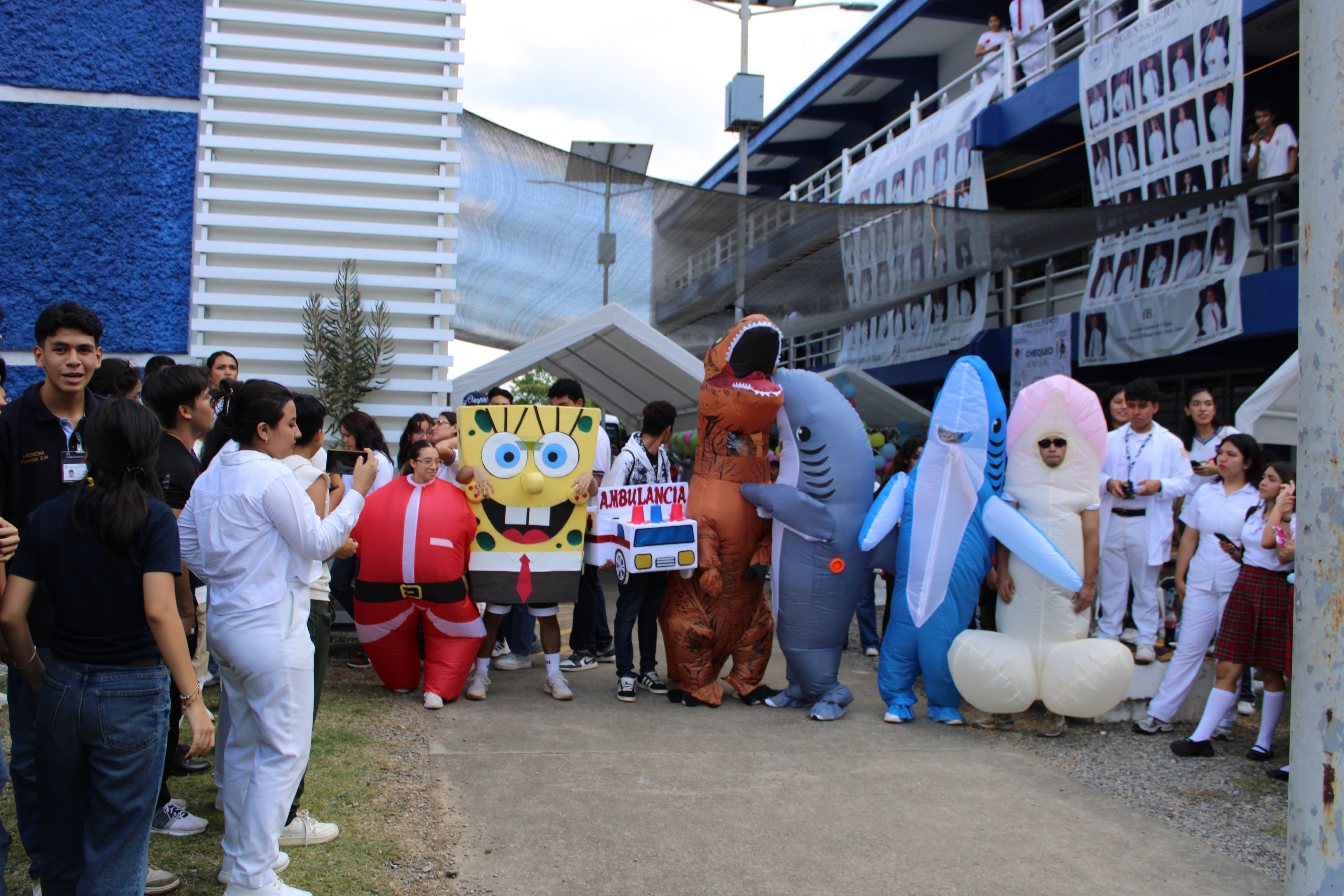 Descripción de la imagen