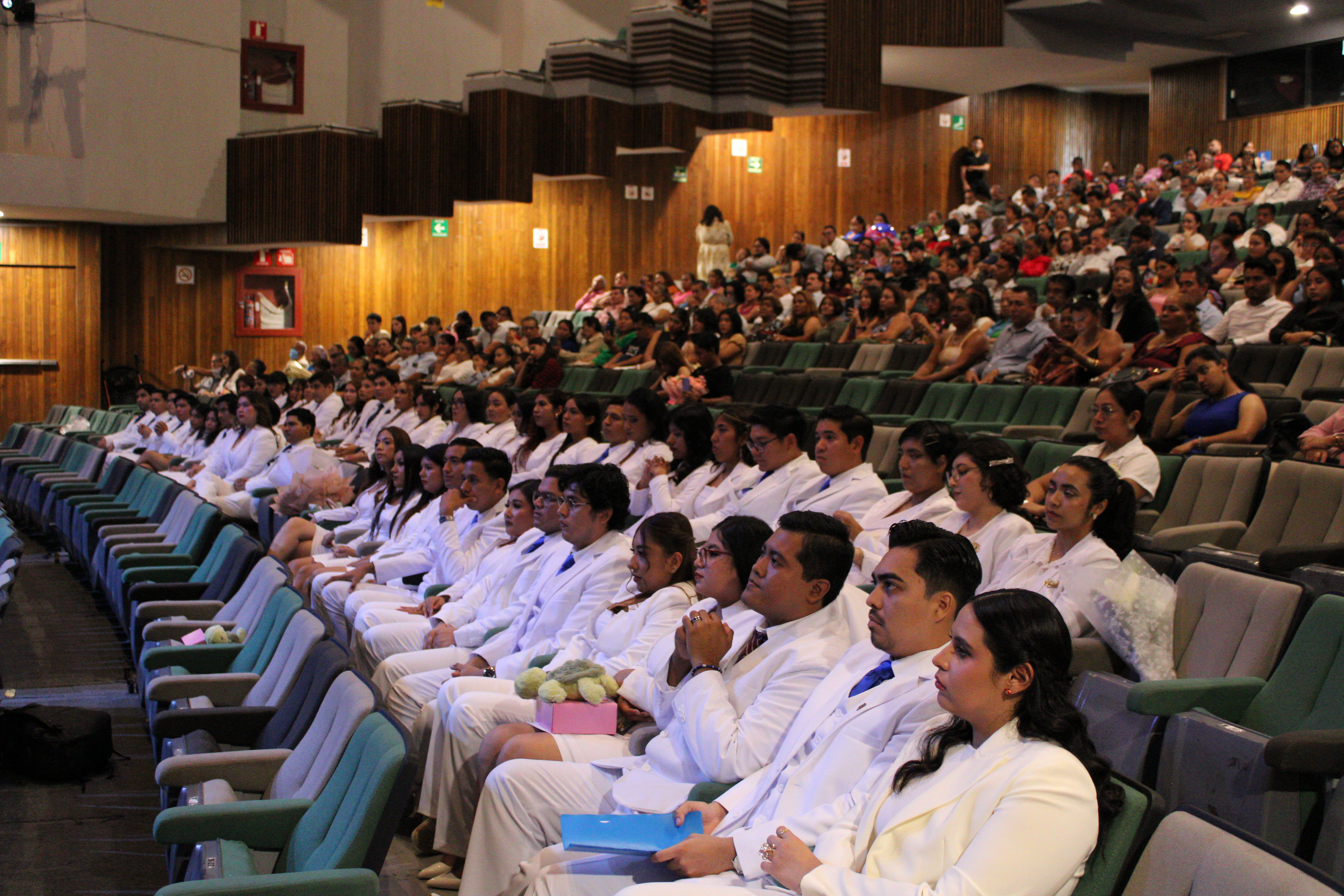 Descripción de la imagen