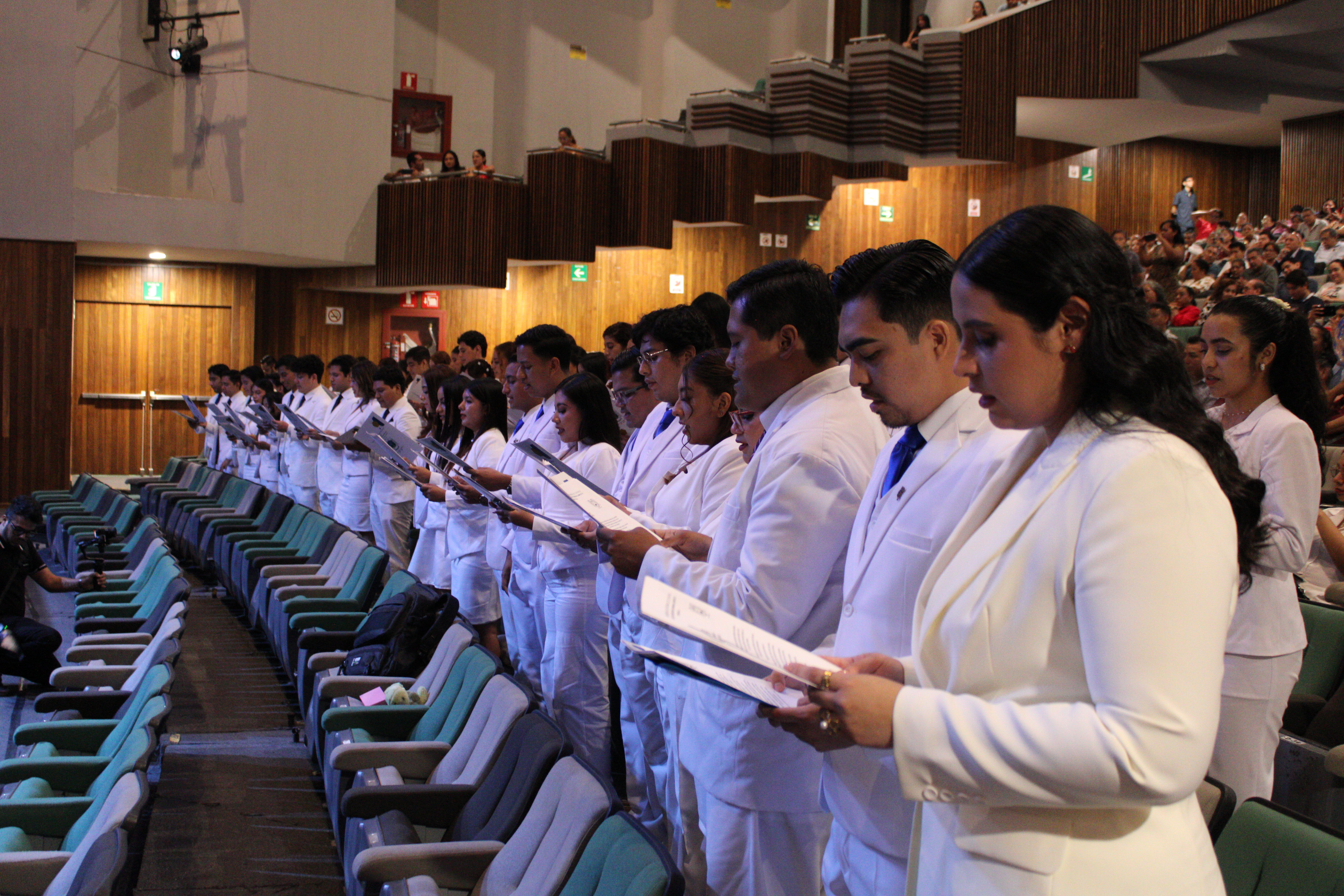 Descripción de la imagen